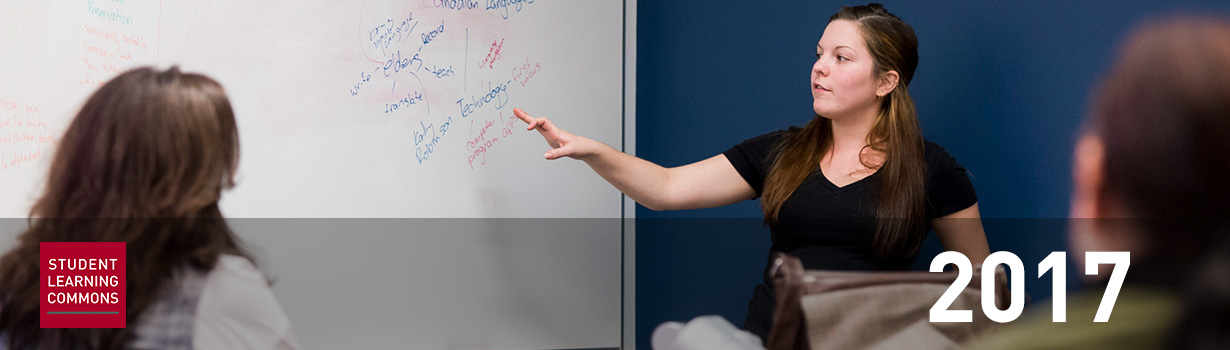 Student Learning Commons 2017: image of an instructor in front of a whiteboard