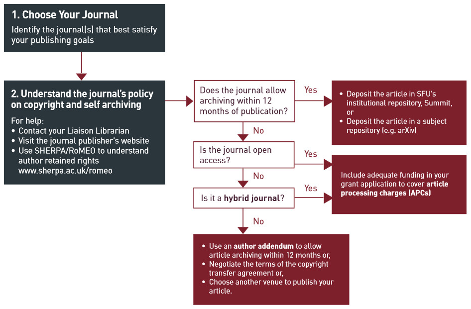 Publishing considerations flow chart - see outline after image