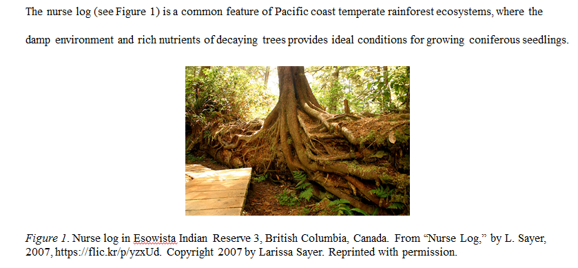 Finding and using online images: Citing | SFU Library