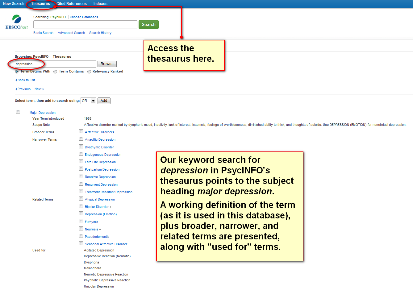 using the thesaurus or index