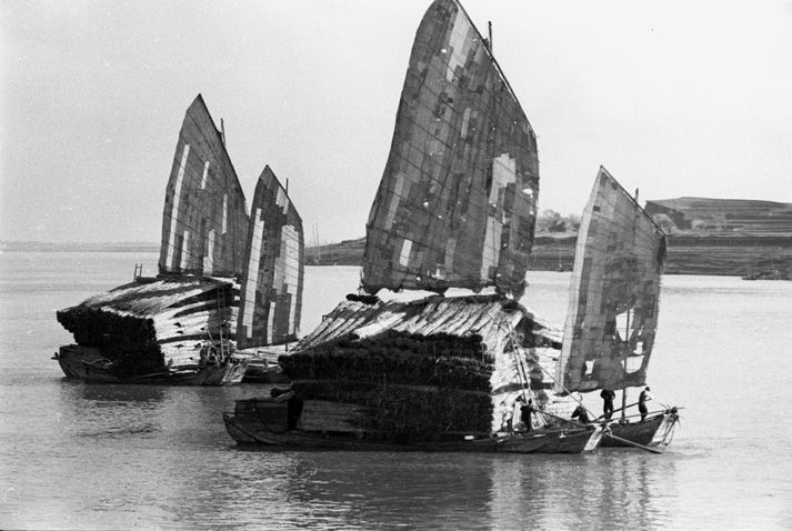 Black and white view of two junks floating on a body of water carying stacks of long reeds, the size of the boat.