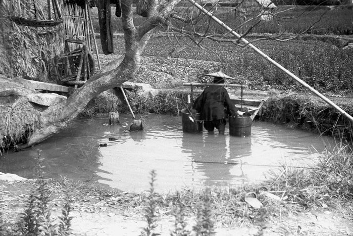 Black and white view of a person wading into a pond in a field near a large tree and straw building, wearing a large straw hat carrying two person-sized watering cans and is filling them with water.
