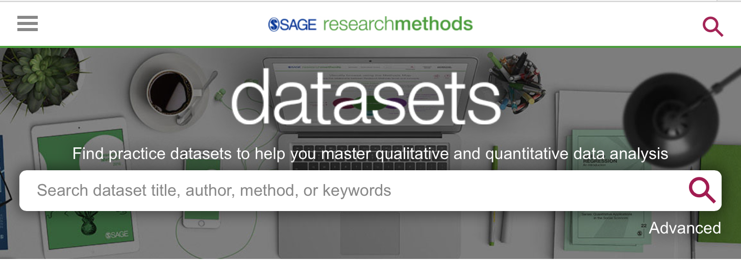 Screen capture fro within Sage Research Methods Datasets showing the main search box.