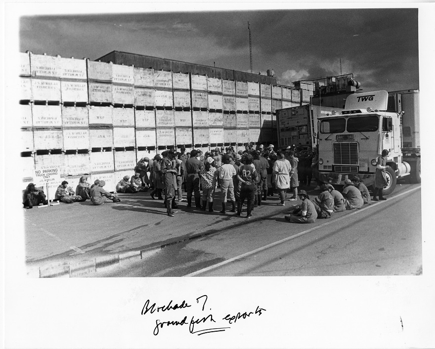 Group of fishers and packers blockading a semi-trailer truck