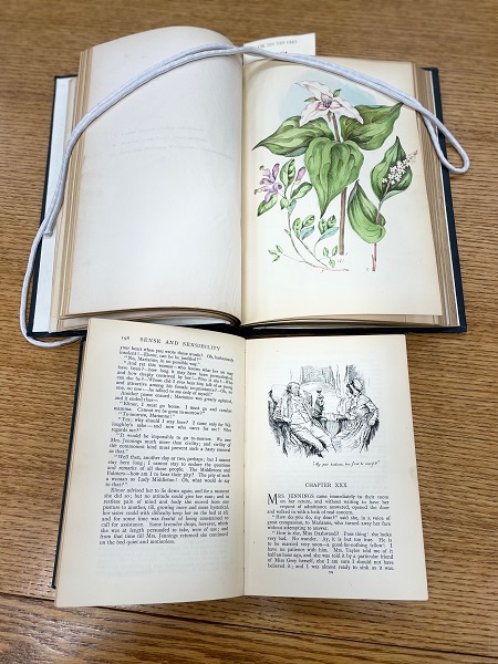 Open books displaying in text illustration and plates with handpainted illustration