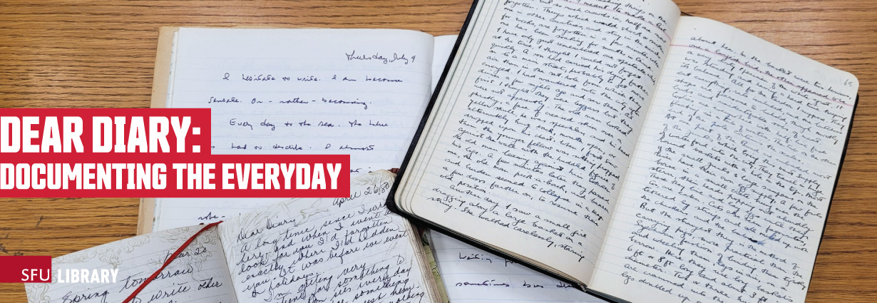 Dear Diary: Documenting the Everyday exhibit banner