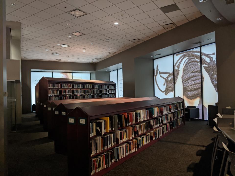From inside the Library, un/settled covers the windows