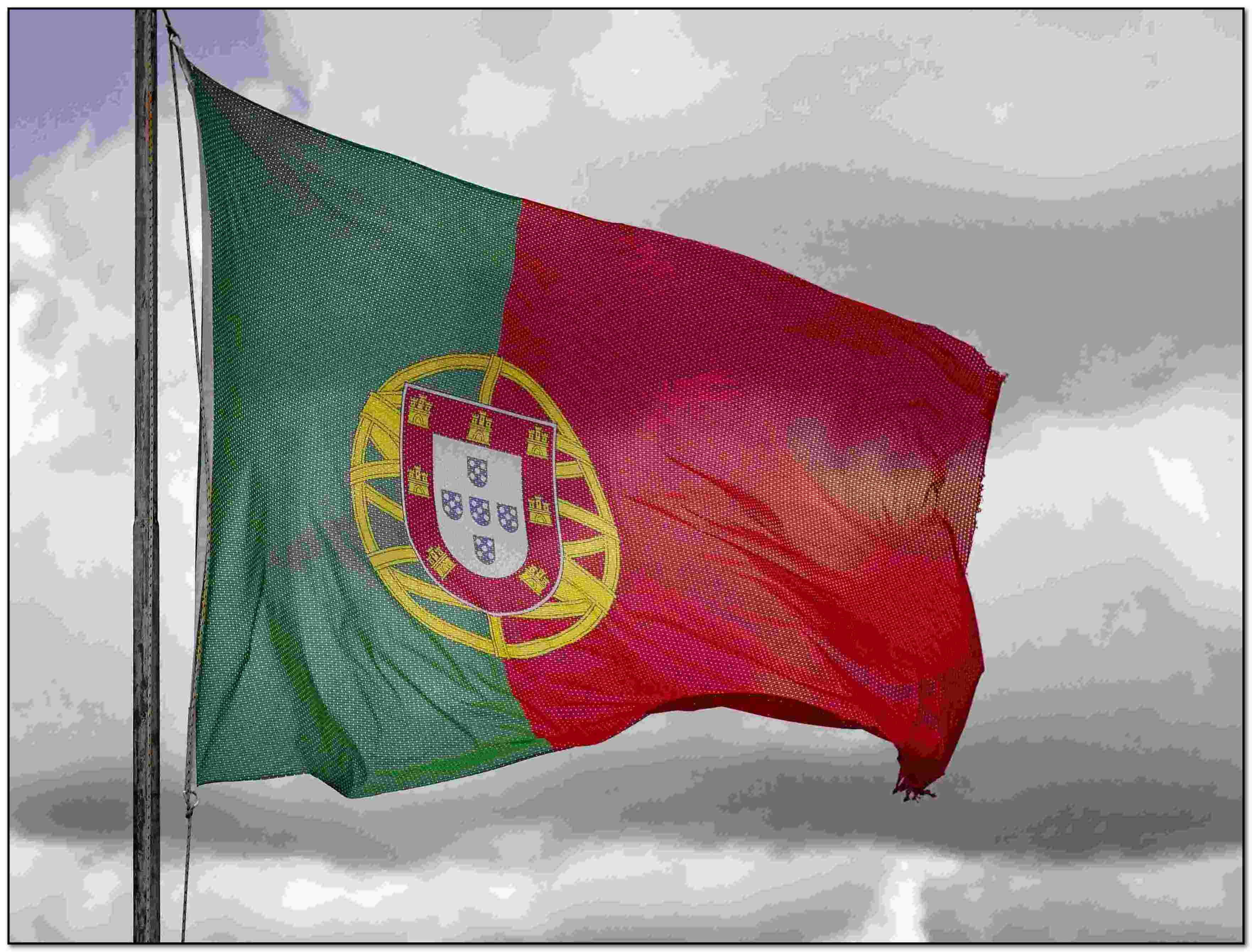 Portugal Flag photo by Luís Feliciano on Unsplash