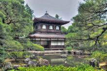 Japanese temple in the woods